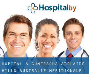 hôpital à Gumeracha (Adelaide Hills, Australie-Méridionale)