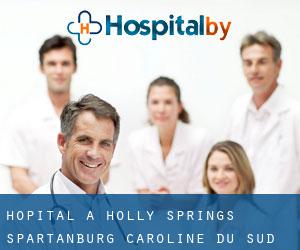 hôpital à Holly Springs (Spartanburg, Caroline du Sud)