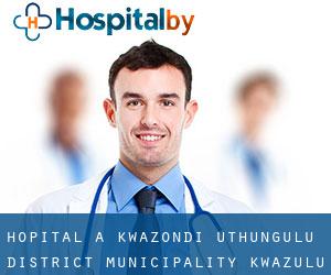 hôpital à KwaZondi (uThungulu District Municipality, KwaZulu-Natal)