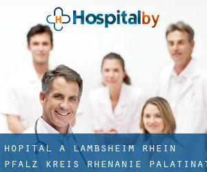 hôpital à Lambsheim (Rhein-Pfalz-Kreis, Rhénanie-Palatinat)