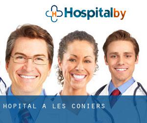 hôpital à Les Coniers hôpital à Les Coniers