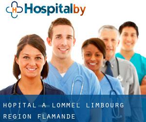 hôpital à Lommel (Limbourg, Région Flamande)