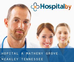 hôpital à Matheny Grove (Weakley, Tennessee)