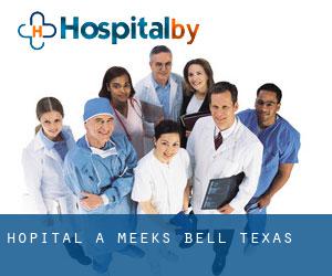 hôpital à Meeks (Bell, Texas)