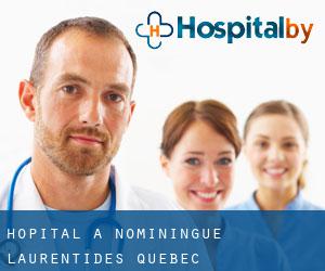 hôpital à Nominingue (Laurentides, Québec)
