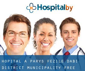 hôpital à Parys (Fezile Dabi District Municipality, Free State)