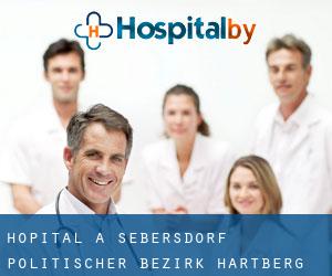 hôpital à Sebersdorf (Politischer Bezirk Hartberg, Styrie)