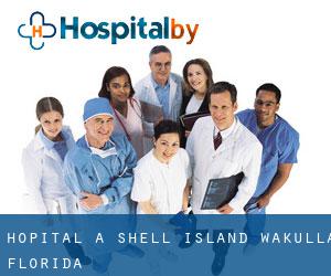 hôpital à Shell Island (Wakulla, Florida) hôpital à Shell Island (Wakulla, Florida)