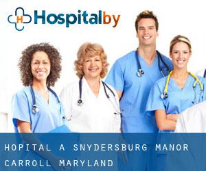 hôpital à Snydersburg Manor (Carroll, Maryland)