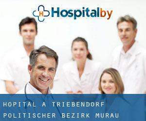 hôpital à Triebendorf (Politischer Bezirk Murau, Styrie)