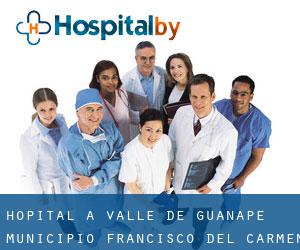 hôpital à Valle de Guanape (Municipio Francisco del Carmen Carvajal, Anzoátegui)
