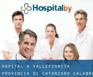 hôpital à Vallefiorita (Provincia di Catanzaro, Calabre)