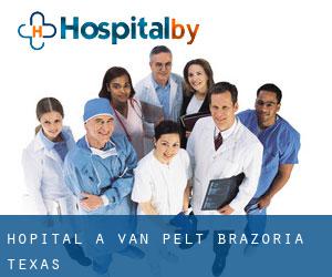 hôpital à Van Pelt (Brazoria, Texas) hôpital à Van Pelt (Brazoria, Texas)
