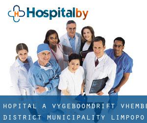 hôpital à Vygeboomdrift (Vhembe District Municipality, Limpopo)
