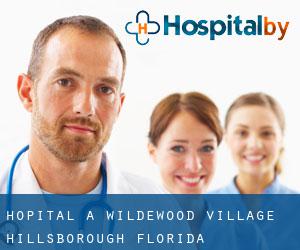 hôpital à Wildewood Village (Hillsborough, Florida)