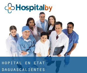 hôpital en État d'Aguascalientes